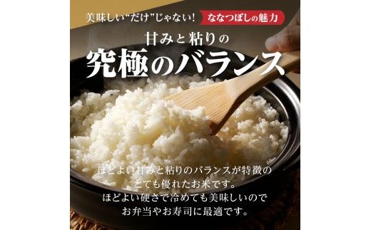 【寄附額改定】《令和8年産先行予約》【9ヵ月定期】滝川産ななつぼし無洗米 5kg 定期便 新米 特A 北海道 お米マイスター ブランド米 皇室 白米 精米 米 こめ コメ お米 単一米 ご飯 ごはん 生活応援 送料無料 北海道産 道産 おすすめ 人気 限定 贈答