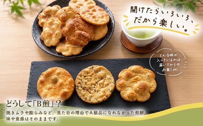 さ志まやの煎餅“B煎”48枚(箱入り) S286