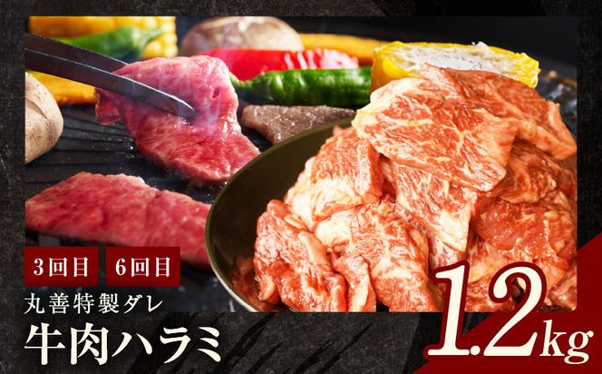 mrzZ011 焼肉定期便 総量6.8kg（肩ロース／牛タン／牛ハラミ）全6回 丸善味わい加工【毎月発送コース】