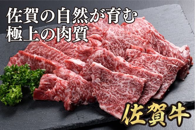 佐賀牛カルビ焼肉800g(400g×2)【佐賀牛 国産牛 ブランド牛 焼き肉 カルビ A5 A4】(H108118)