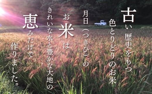 B2-29 【先行予約R7年産】自然栽培 古代米 ブレンド