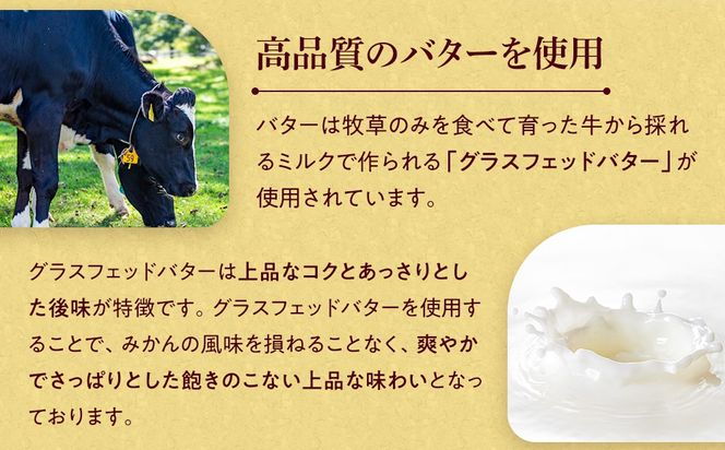 みかんバター 1本入 ( アルギットみかん果汁使用 無添加 ) | 国産 バター 濃厚 コク みかん 有田みかん こだわり おいしい 甘い おすすめ スイーツ フルーツ 果物 パン トースト 食パン アレンジ お供 ギフト お取り寄せ 送料無料 和歌山県 有田川町 DT001