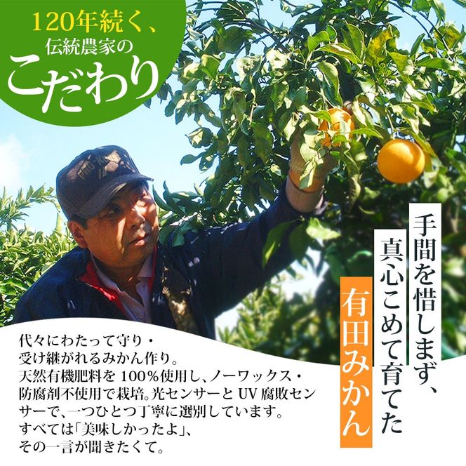 訳あり 有田みかん 約10kg ご家庭用 和歌山県 ごだわり有田みかん ※2026年11月～2027年1月に順次発送予定 【nuk138H】