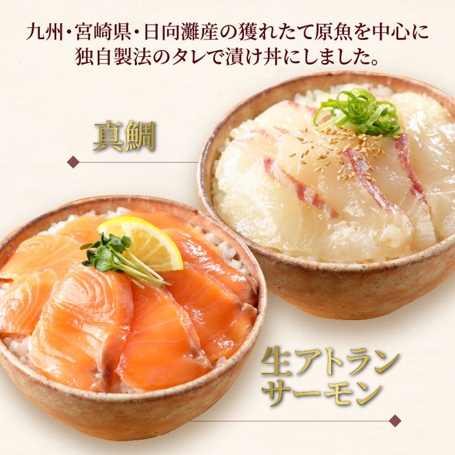 【冷凍】活〆日向灘真鯛と生アトランサーモンの漬け丼2種食べ比べセット110g×8袋N019-YB252