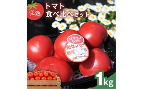 完熟トマト食べ比べセット1kg 約3種類のトマト 美味しさ選別 ｜とまと トマト 減農薬 野菜 やさい 人気 新鮮 産地直送 直売 フルーツトマト 甘い 高糖度 完熟 リコピン ビタミン ダイエット 美容 美肌 愛知県 美浜町 ※2026年1月上旬～5月下旬頃に順次発送