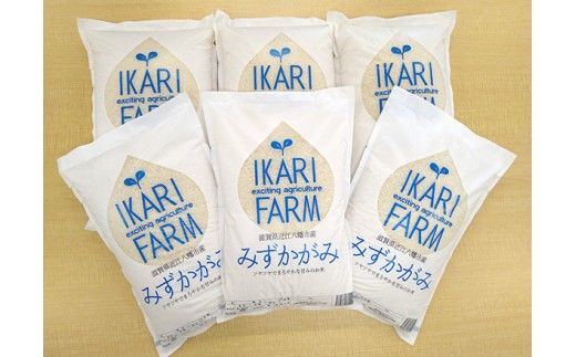 【新米】令和8年産みずかがみ　白米定期便　12か月で5kgを6回お届け（2か月に1回）【C035W2】（滋賀県　近江八幡市）