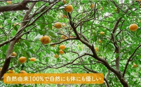 【全6回定期便】農香 ばぁむ クリーム 【2025年10月下旬以降初回発送】糸島市 / わかまつ農園 [AHB027]