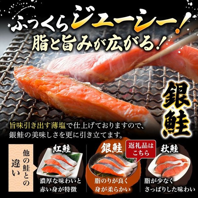 訳あり 銀鮭 切り身 1.4kg セット 詰め合わせ 鮭 サケ