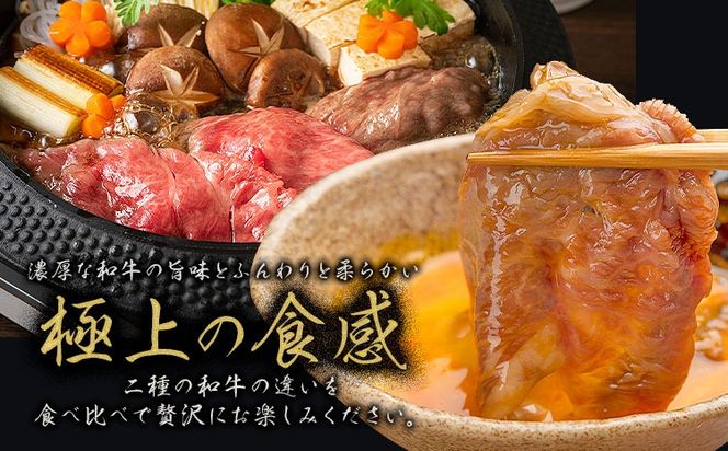 黒毛和牛 A4～A5等級 あか牛 クラシタ 食べ比べ 霜降り 赤身 すき焼き しゃぶしゃぶ 600g 1200g 数量限定 牛肉 冷凍 くまもと黒毛和牛 《30日以内に出荷予定(土日祝除く)》 冷凍庫 個別 以内 ブランド牛 1kg 以上 1.2kg 赤身 霜降り お歳暮---mna_fkkgksr_30d_14000_600g_as---