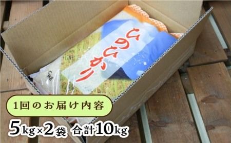 【全12回定期便】糸島産 ひのひかり 10kg × 12回 糸島市 / 三島商店 [AIM016] 米 九州 白米