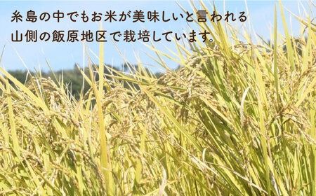 【新米受付中】＼令和6年産／糸島産 餅米 3kg 自然栽培 天日干し 【2024年11月下旬以降順次発送】 糸島市 / 大石ファーム もち米 おもち[ATE042] 