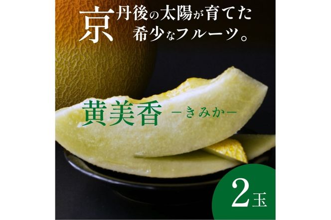 【先行予約／数量限定250】砂丘メロン 黄美香 2玉（2025年7月下旬～発送）　ZF00004