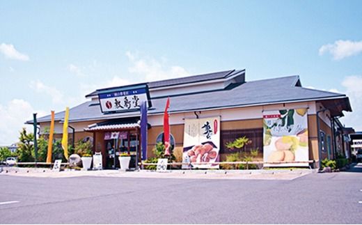 敷島堂 夢どら 北海粒あん・クリーム小倉詰合せ10個入（4月～10月のお届け） [№5735-0910]