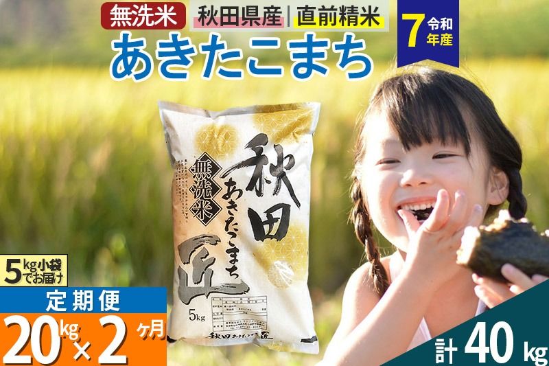 [無洗米][令和7年産][定期便2ヶ月]秋田県産 あきたこまち 匠 20kg (5kg×4袋) ×2回 20キロ お米 |02_snk-030802s
