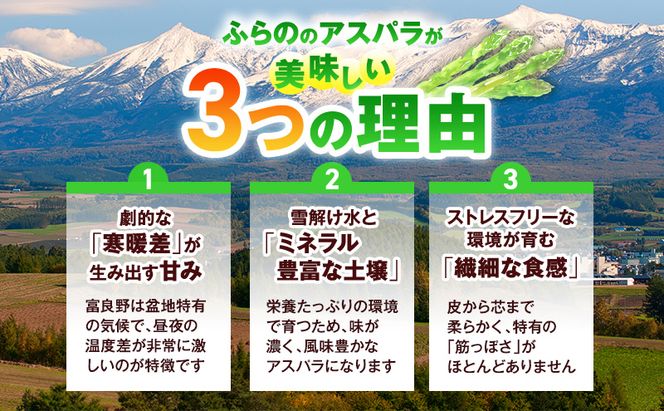 【2027年5月～発送】北海道 富良野産 露地 グリーン アスパラ L～Mサイズ混合 約1kg 野菜 アスパラガス