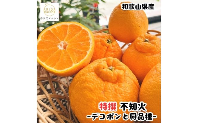 特選 濃厚 不知火 (通称デコポン)  約1kg+200g(傷み補償分) ※2027年1月下旬～3月下旬に順次発送【ard256】