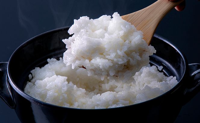 令和7年産 特別栽培米つやっ娘米 5kg 丹後こしひかり お米 米 ご飯 コシヒカリ つやっ娘 丹後 宮津 京都 海の京都 特別栽培米 グルメ 