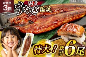 うなぎ 国産 定期便 鰻 蒲焼 特大 約200g 2尾 計400g以上 3回 総計約1.2kg 小分け 【有頭】[大黒物産 福岡県 宇美町 um40bak830018] タレ 山椒付 茶葉蒸し ウナギ 不揃い 規格外 鹿児島 宮崎 うなぎ蒲焼 鰻蒲焼き 蒲焼き かば焼き 真空パック 個包装 冷凍 unagi