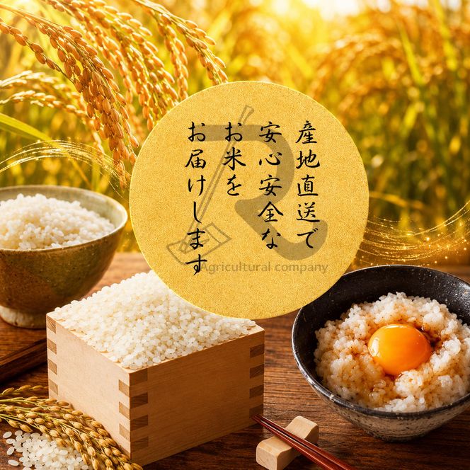 令和7年産 キヌヒカリ 10kg  京都丹波産 良心米 米 白米 ごはん