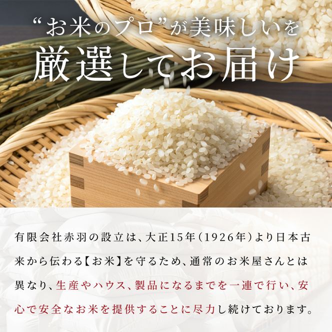 令和8年産 コシヒカリ 精米 10kg | お米 こしひかり コシヒカリ 白米 茨城県 取手市 （CO002）