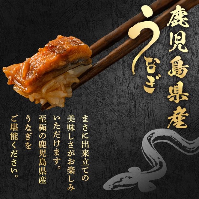 【12029】東串良町のきざみ鰻(計300g・60g×5P)うなぎ 高級 ウナギ 鰻 国産 蒲焼 蒲焼き たれ 鹿児島 ふるさと 人気【アクアおおすみ】