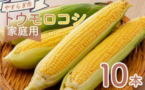 【令和8年6月中旬発送開始】トウモロコシ １０本 家庭用 yr-0076