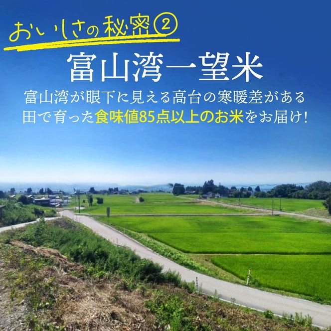 【先行予約】新米 富山湾一望米　コシヒカリ 精米 【容量5kg】【2025年10月より順次発送】