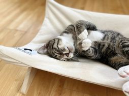 【リアルダウン使用】 ハンモックタイプの 羽毛ペットベッド　クッション 犬や猫が喜ぶ！ H162-059