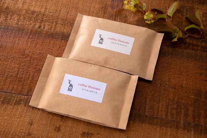 コーヒー豆 100g 2種 (豆のまま) 飲み比べセット [自家焙煎珈琲ぴちかーと 福岡県 筑紫野市 21761244] コーヒー 珈琲 coffee セット ストレートコーヒー