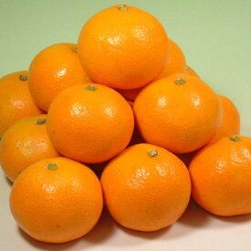 V7448_【2026年先行予約】田村みかん／5kg青秀【Mサイズ】