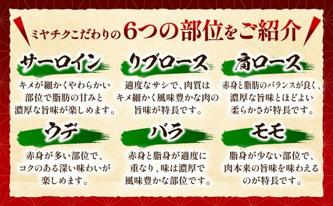宮崎県産黒毛和牛(経産)6種焼肉セット 300g