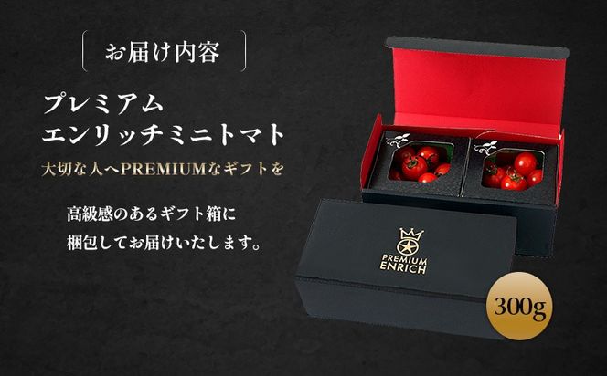 【高糖度11以上】PREMIUM ENRICH MINI TOMATO 300g（プレミアムエンリッチミニトマト）【28004AA0101】