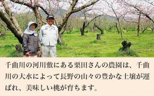 黄金桃 約3kg 7～12玉 ［小布施屋］ 桃 もも モモ フルーツ 果物 令和7年産 【2025年8月下旬発送】 ［A-11］