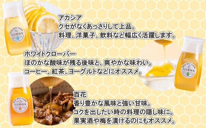 北海道産 はちみつ 3種 計 900g 各300g 新ひだか町 推奨品 セット Ｂ