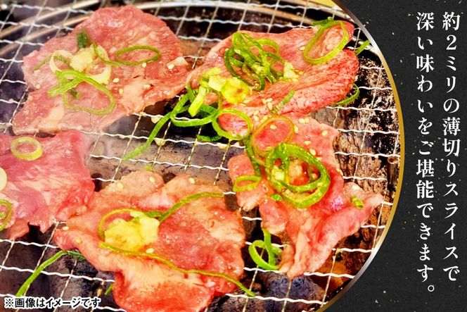 訳あり 赤身 牛たん 塩味 たん先 約500g 2p 1kg [佐利 宮城県 南三陸町 m304amh580023] 牛タン たん タン 小分け 肉 焼き肉 焼肉 塩タン 塩たん タン塩 たん塩