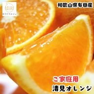 【ご家庭用】完熟 清見オレンジ 農家直送 約1.2kg(1kg+200g(補償分))