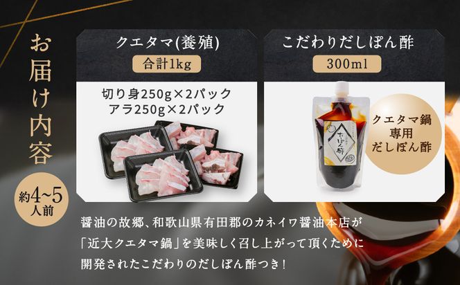 近大クエタマ鍋セット1kg（2027年1月下旬～2月上旬発送） 304018_A023