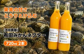みかん ネクター 100％ ジュース / 温州みかん 有田みかん 果汁 無添加 柑橘 和歌山 7000円 720ml ※北海道・沖縄・離島への配送不可 //drink【ikd100-to720-2A】