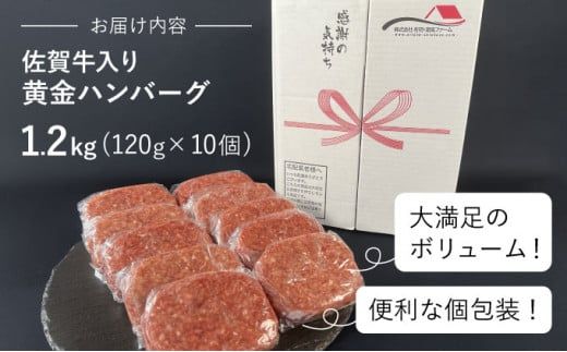 【佐賀牛入り】【数量限定】熟練の味 “黄金ハンバーグ” 120g×10個 1200g　A-76
