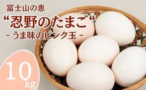 富士山の恵“忍野のたまご“‐うま味のピンク玉‐10kg　KC008