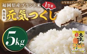 【令和5年産】福岡県産ブランド米「元気つくし」無洗米 5kg《築上町》【株式会社ゼロプラス】[ABDD002]