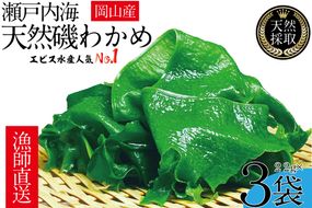 風味豊かな 瀬戸内 わかめ 22g×3袋 エビス水産【岡山 瀬戸内海 天然 カットわかめ】 常備菜 無添加 無着色 味噌汁 炊き込み 
