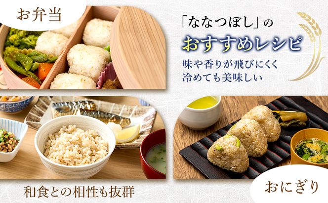 【令和7年度産】◆3ヵ月定期便◆ 富良野 山部米研究会【 ななつぼし 】玄米 5kg×2袋（10kg）お米 米 ご飯 ごはん 白米 令和7年 令和7年産 定期便 定期 送料無料 北海道 富良野市 道産 直送 ふらの