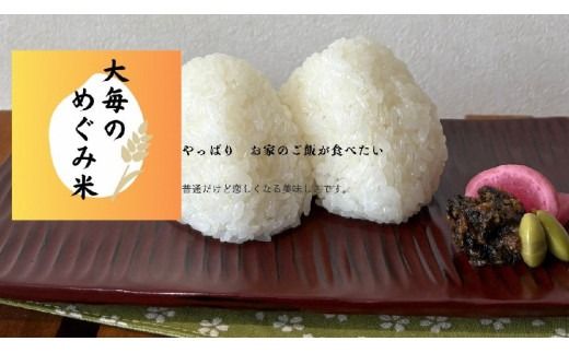 【新米受付・令和8年産米】新潟県村上市産　コシヒカリ「大毎のめぐみ米」5kg　1093003N