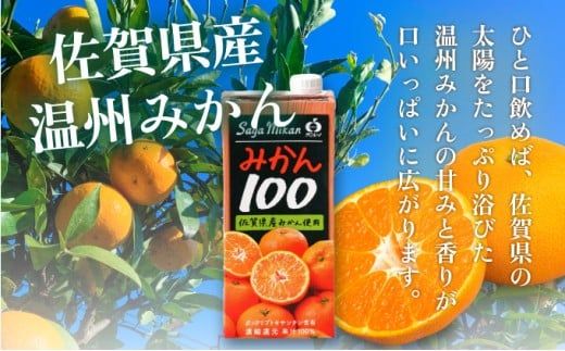 【お中元】みかん100 1L×6本 | みかんジュース 温州みかん 100%ジュース ストレートジュース 果汁100% 無添加 国産ジュース フルーツジュース お取り寄せ ギフト 人気 子供向け 健康飲料 九州 特産品