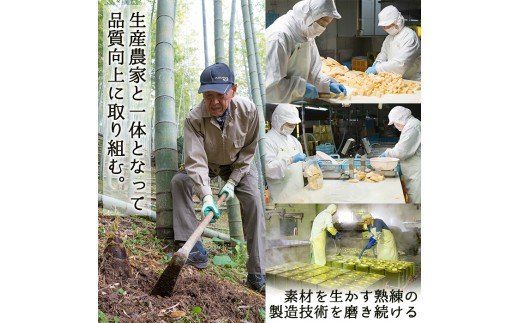 ＜先行予約受付中！2027年2月下旬以降順次発送予定＞ 【平日着】朝堀り青果たけのこ(約1.5kg) 国産 新鮮 タケノコ 青果 竹の子 筍 野菜 春 旬 期間限定 数量限定 【上野食品】akn008-04-A