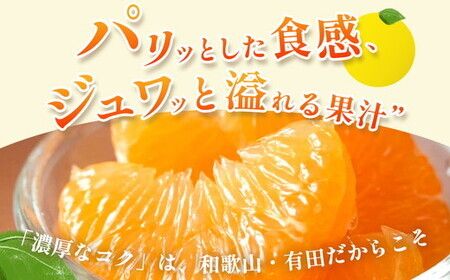 ＜4月より発送＞家庭用 樹上完熟はっさく10kg+250g（傷み補償分）有田の春みかん・五月八朔・さつきはっさく・木生りはっさく・きなりはっさく【光センサー選別】訳あり
