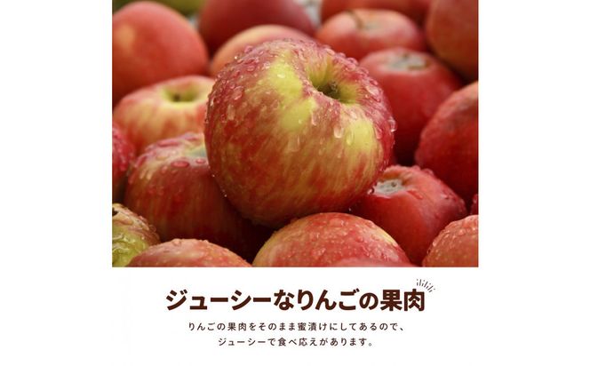 アップルチョコレートミルク450g 242161_CR016