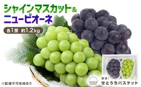 ぶどう 2026年 先行予約 シャインマスカット ＆ ニュー ピオーネ 各1房 約1.2kg ブドウ 葡萄 岡山県産 国産 フルーツ 果物 直送！せとうちバスケット