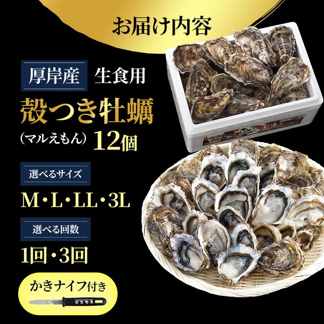 北海道厚岸産 牡蠣 Lサイズ 1ダース（12個入り） 生食用 生牡蠣 貝付き牡蠣 貝 海鮮 魚介類 シーフード 殻付き牡蠣 マルえもん メルマガ掲載商品1 